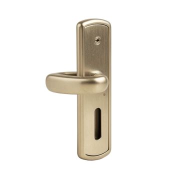 Callan Asheville Privacy Door Lever