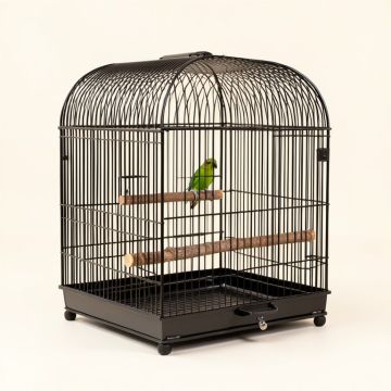 Bremond 23.6 '' Iron Play Top Travel Parrot & Conure With Perch (synthetic illustration; no displayed measurements)