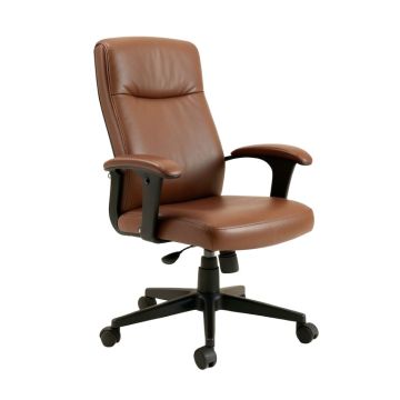 Alby Ergonomic Task Chair
