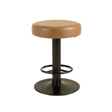 Adelita Swivel Bar & Counter Stool