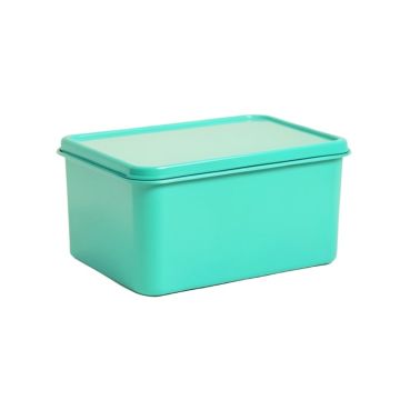 Neves Tin Bread Box (synthetic illustration; no displayed measurements)