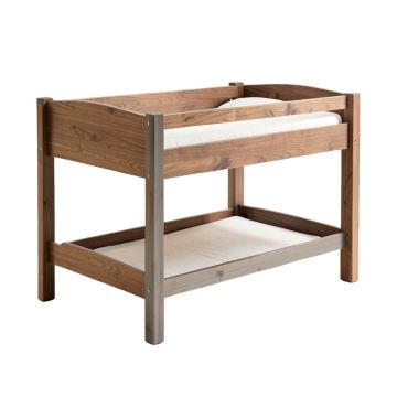 Ranveer Twin Solid Wood Low Loft Bed
