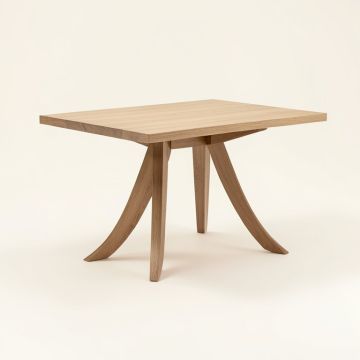 Dominey Dining Table (synthetic illustration; no displayed measurements)