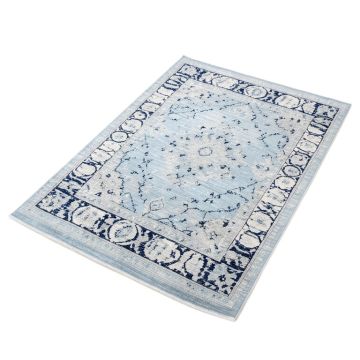 Bonney Oriental Sky Blue/Light Gray/White/Navy Area Rug