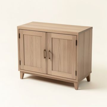 Jace 2 Door Accent Cabinet (synthetic illustration; no displayed measurements)