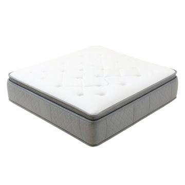 Sealy 12 '' Plush Memory Foam Mattress