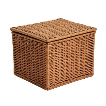 Adelita Wicker Deck Box