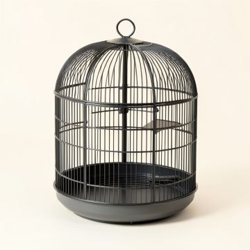 Warnick 11.8 '' Dome Top Travel Bird Cage With Perch (synthetic illustration; no displayed measurements)