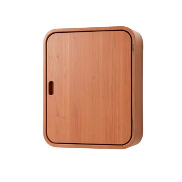 Hill Canyon Wall-Mounted Laundry Cabinet - Terracotta (synthetic illustration; no displayed measurements)