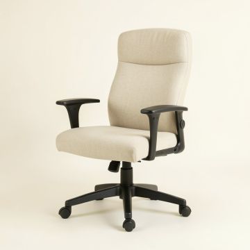 Aricia Home Office Executive Chair (synthetic illustration; no displayed measurements)
