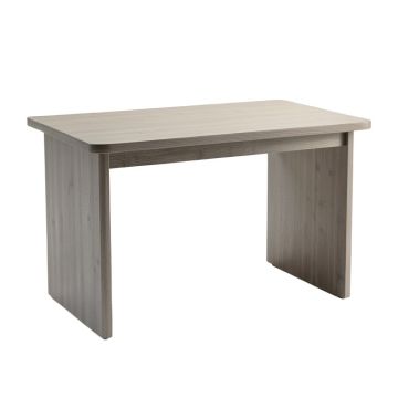 Fern Dale Writing Desk - Gray