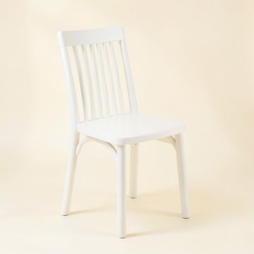 Ash Arc Dining Chair (synthetic illustration; no displayed measurements)