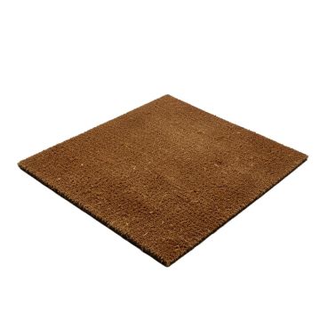Door Mats Go Away 30 In . X 18 In . Outdoor Door Mat