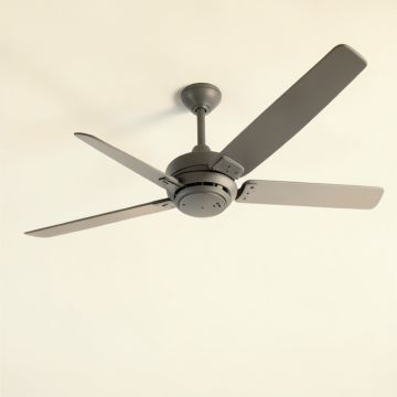 Ceiling Fan Blade (synthetic illustration; no displayed measurements)