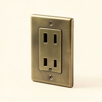 Pineapple 1-Gang Duplex Outlet Wall Plate (synthetic illustration; no displayed measurements)