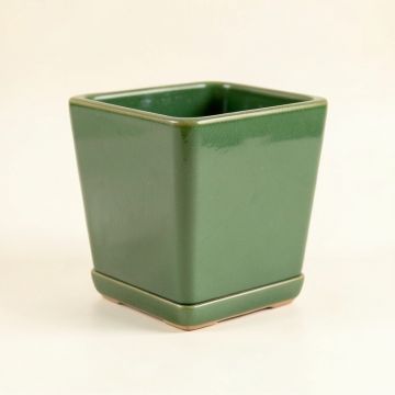 Pine Bend Empty Planter - Green (synthetic illustration; no displayed measurements)