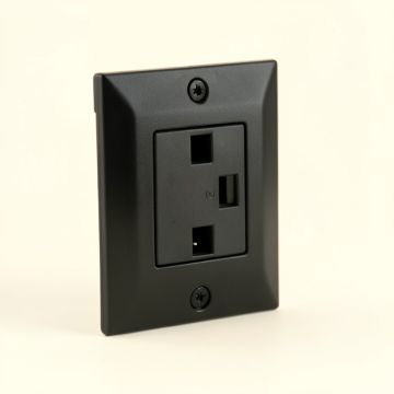 2 Plug Cover 1-Gang Duplex Outlet Wall Plate (synthetic illustration; no displayed measurements)