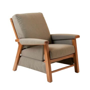 Toler 37.5 '' Wide Power Lift Assist Standard Recliner