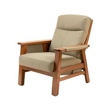 Palantoni 37.7 '' Wide Power Lift Assist Standard Recliner