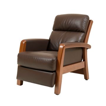 Alkim 26.3 '' Wide Power Lift Assist Standard Recliner