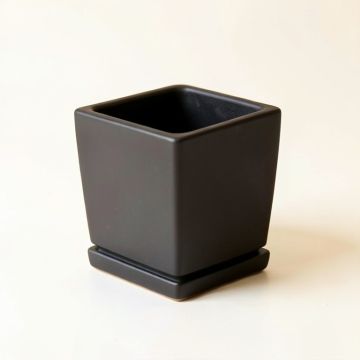 Alder Branch Empty Planter - Black (synthetic illustration; no displayed measurements)