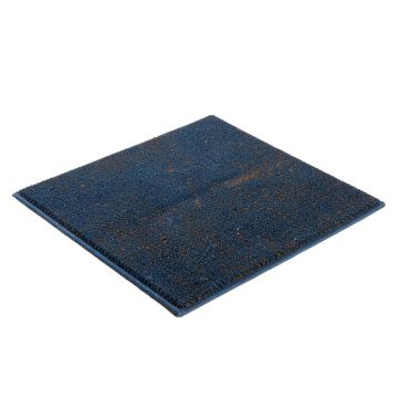 Abagail Blue Birds Non-Slip Indoor/Outdoor Door Mat
