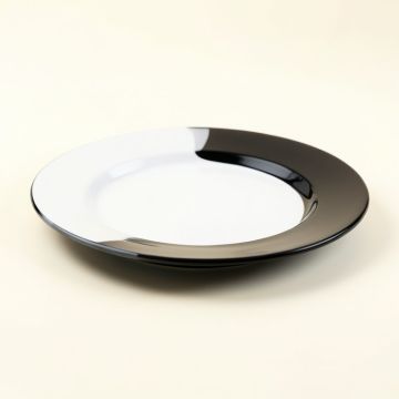 9 '' Melamine Salad Plate (synthetic illustration; no displayed measurements)
