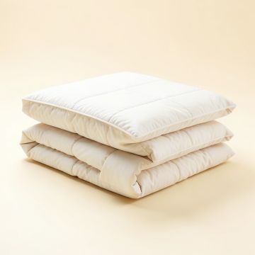 Wayfair Basics® Reversible Quilt Set (synthetic illustration; no displayed measurements)