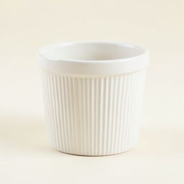 Moss Bridge Empty Planter - White (synthetic illustration; no displayed measurements)