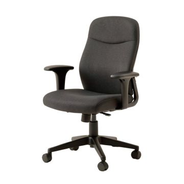 Alcaraz Task Chair