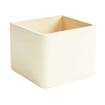 Spruce Branch Empty Furniture-Style Litter Enclosure - Cream