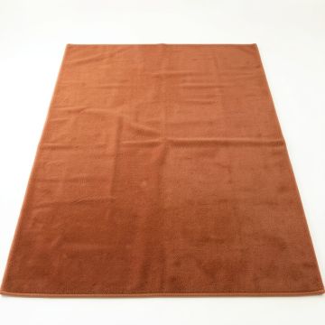 Clay Crossing Rectangular Area Rug - Terracotta (synthetic illustration; no displayed measurements)