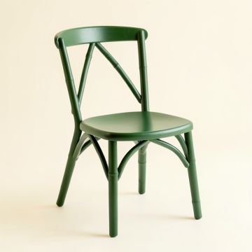 Holly Arc Dining Chair (synthetic illustration; no displayed measurements)
