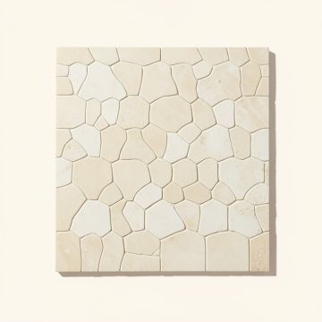 Atlantic 1 '' X 1 '' Seashell Mosaic Tile In Cream (synthetic illustration; no displayed measurements)