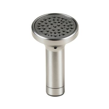 Forte Kit , 1.75 Gpm Multi Function Handheld Shower Head