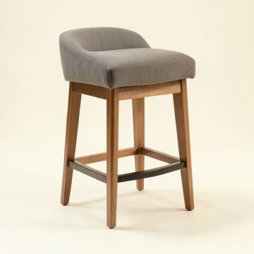 Dae Bar & Counter Stool (synthetic illustration; no displayed measurements)