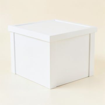Briar Brook Closed Outdoor Storage Box - White (synthetic illustration; no displayed measurements)