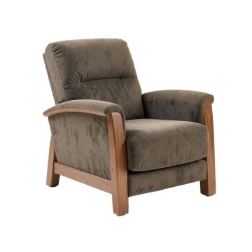 Tasmin 41 '' Wide Power Standard Recliner
