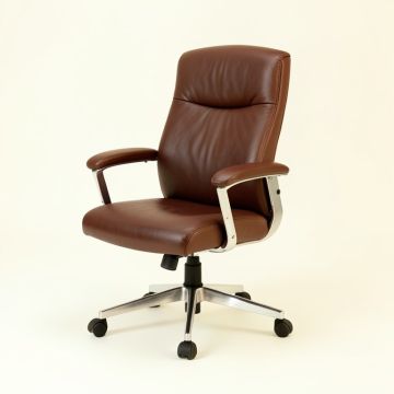 Lowellville Patacas Ergonomic Executive Chair (synthetic illustration; no displayed measurements)
