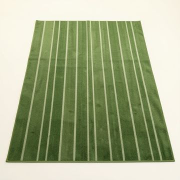 Cedar Arc Rectangular Area Rug (synthetic illustration; no displayed measurements)