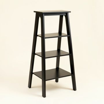 Ame Ladder Bookcase (synthetic illustration; no displayed measurements)