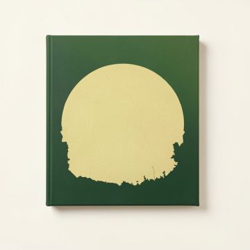 One Canadian Dollar 2 Panoramic Graphic Art On Canvas (synthetic illustration; no displayed measurements)