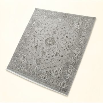Thissell Oriental Gray Area Rug (synthetic illustration; no displayed measurements)