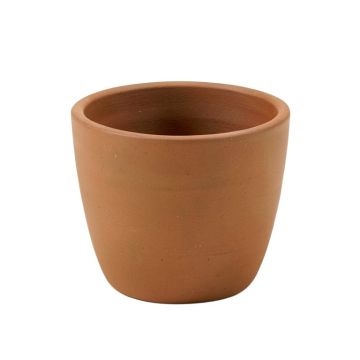 Shanitaortia Cachepot