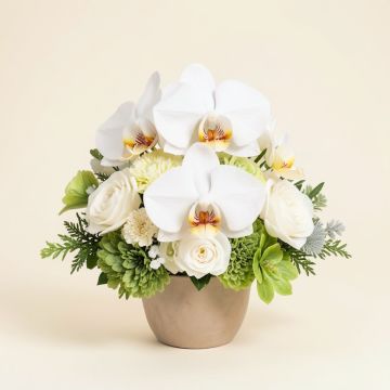 14 '' Hx19 '' W Phalaenopsis Orchid & Sedum Silk Flower Arrangement -White (synthetic illustration; no displayed measurements)