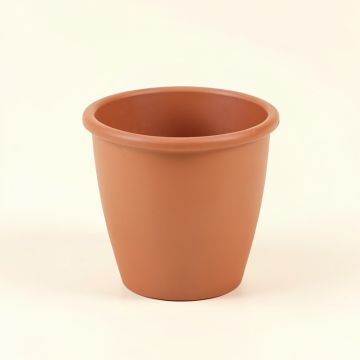 Dayton Plastic Pot Planter (synthetic illustration; no displayed measurements)