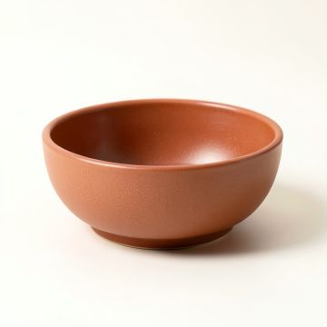 Wren Bridge Dining Bowl - Terracotta (synthetic illustration; no displayed measurements)