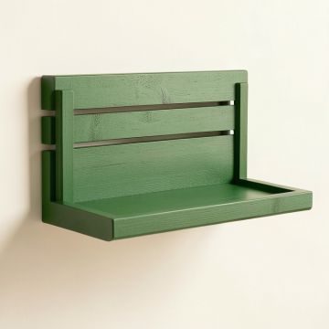 Bay Bridge Wall-Mounted Entryway Organizer Shelf - Green (synthetic illustration; no displayed measurements)