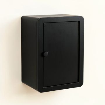 Field Dale Wall-Mounted Laundry Cabinet - Black (synthetic illustration; no displayed measurements)