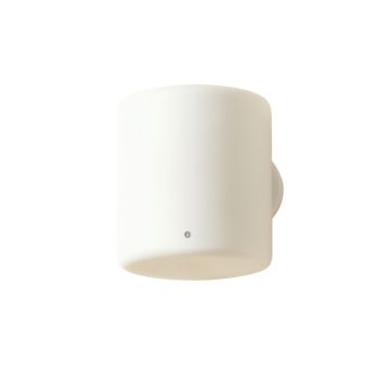 Meadow Canyon Wall Sconce Mounted On A Plain Wall - White
